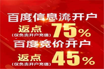 百度竞价广告成功案例集锦：如何玩转搜索引擎营销